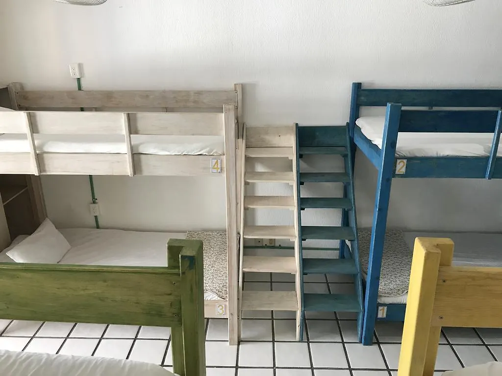 بلايا ديل كارمن Hostel La Isla Playa المكسيك
