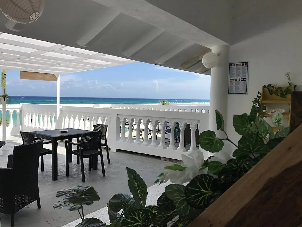 بلايا ديل كارمن Hostel La Isla Playa بلايا ديل كارمن