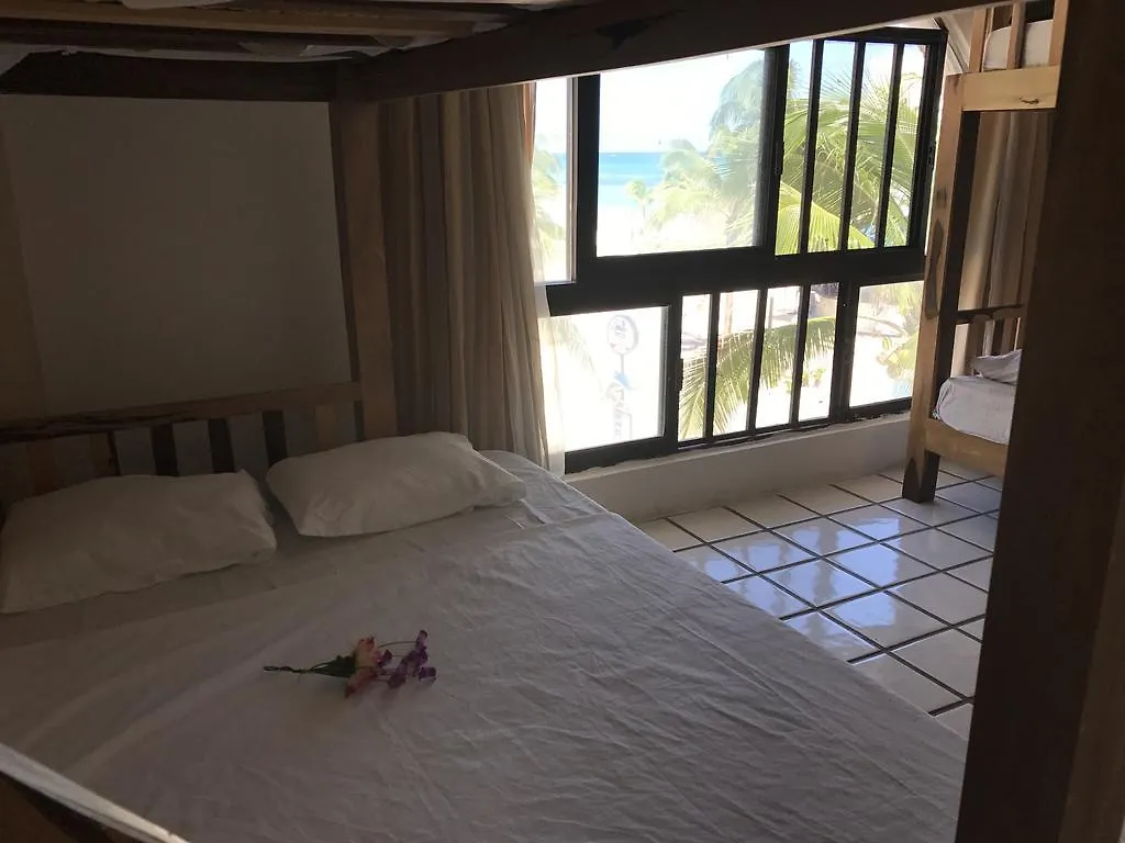 بلايا ديل كارمن Hostel La Isla Playa  بلايا ديل كارمن